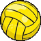Waterpolo Ball
